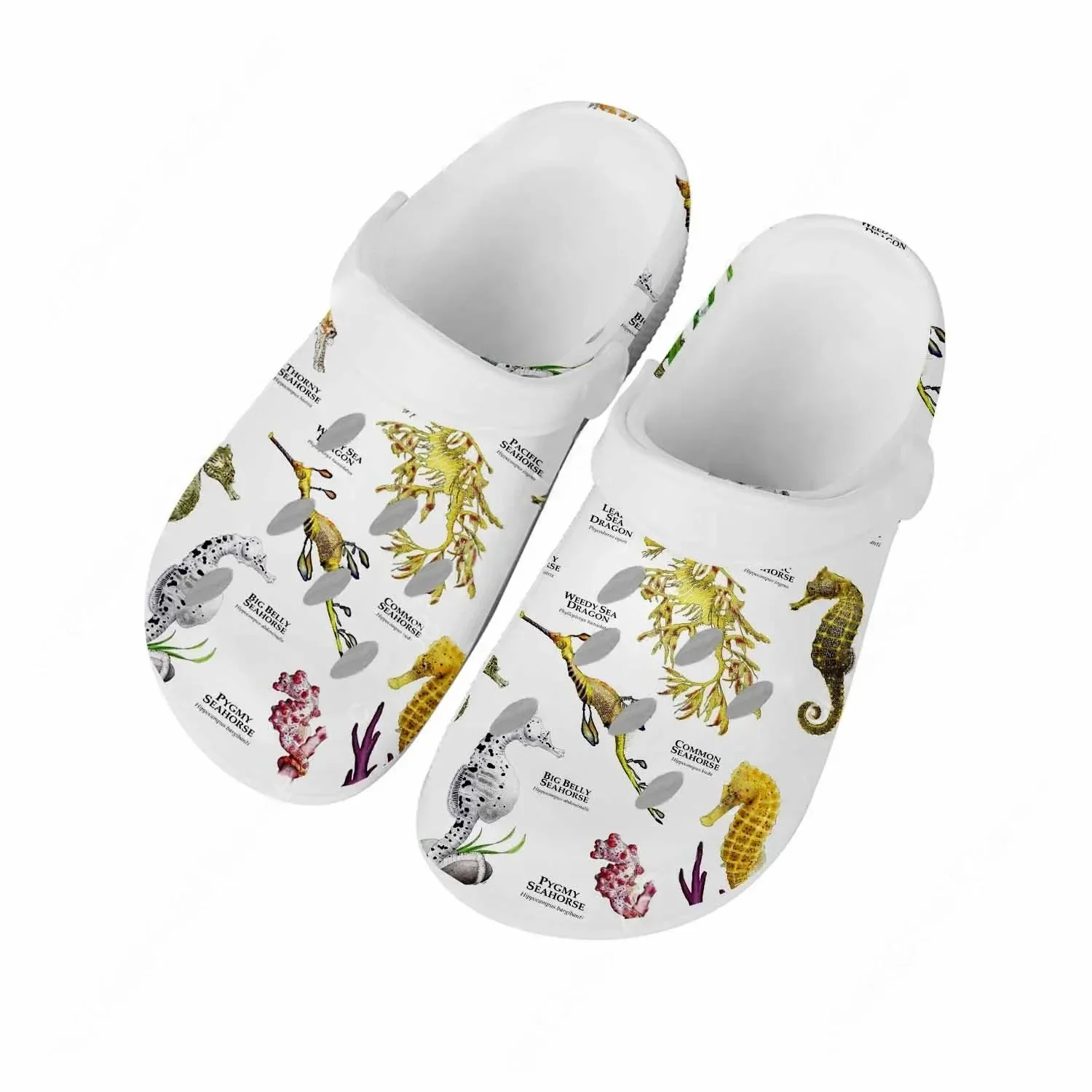 Seahorse Sandals Men Women Tee - Men Shoes High 评论和价格